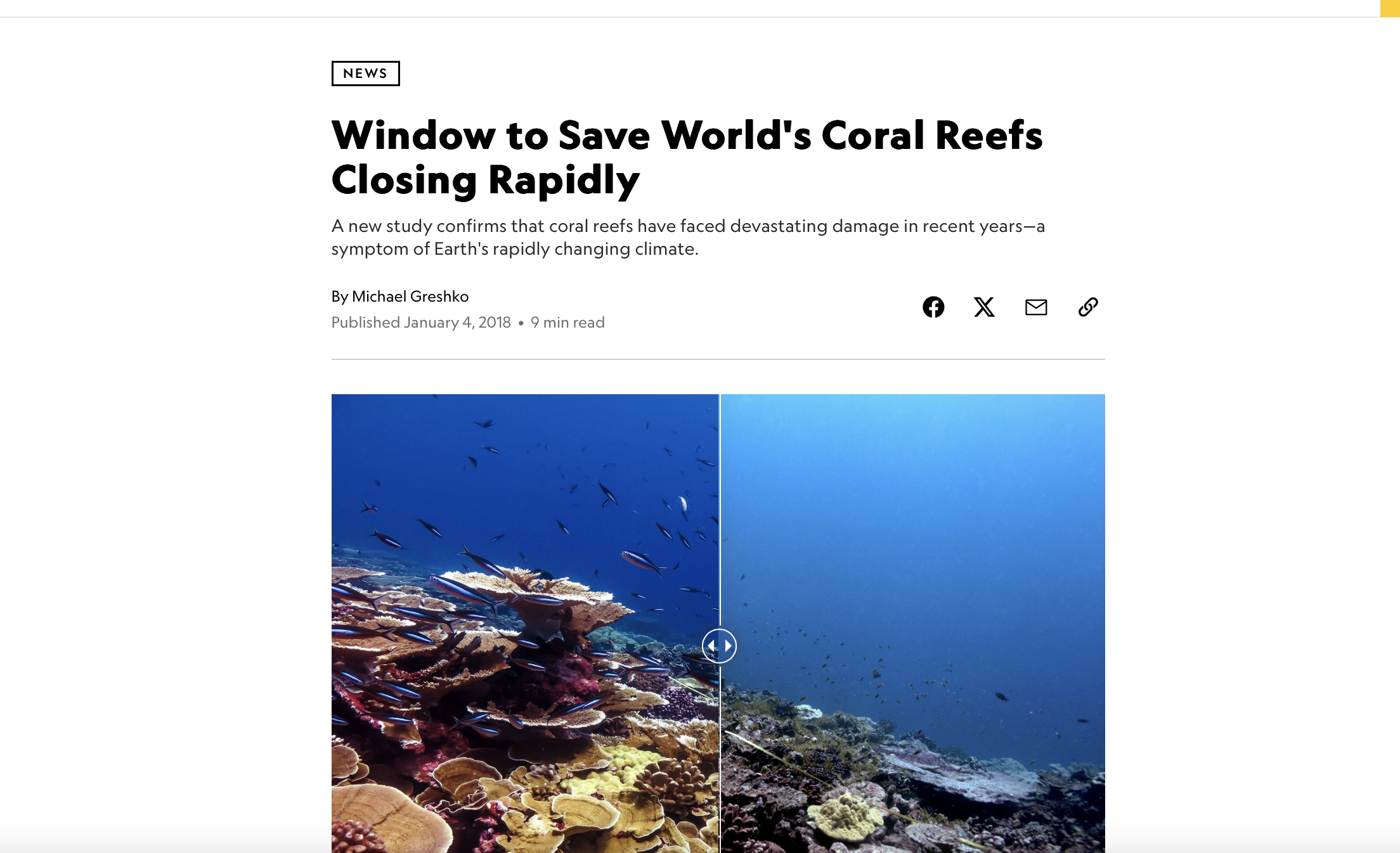 Newspaper article on the fourth global bleaching event